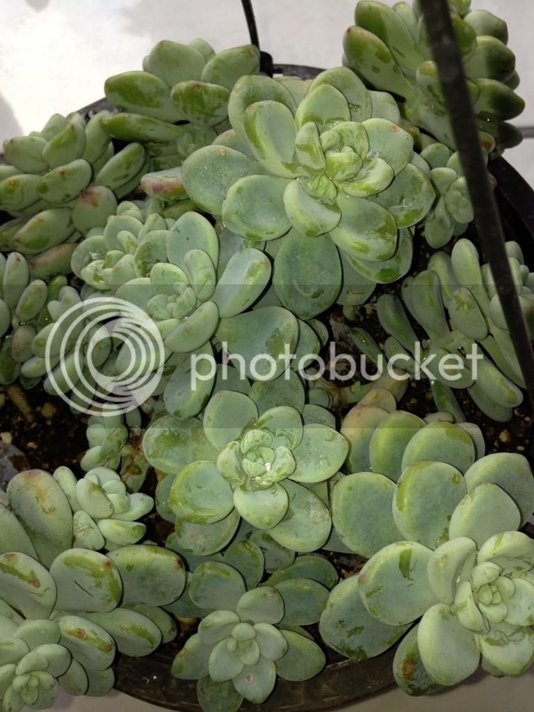 phkoto5_zps17e7402a.jpg