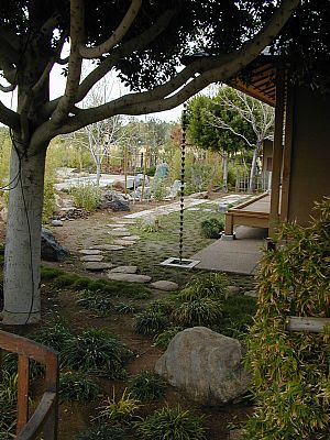 phoenix_ariz02.jpg