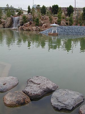 phoenix_ariz13.jpg