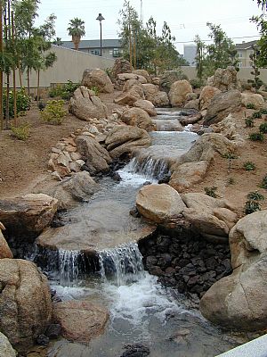 phoenix_ariz20.jpg
