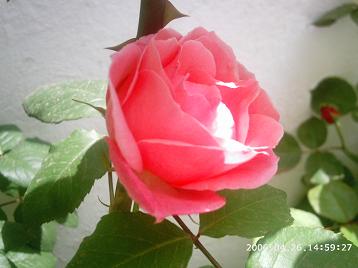 PHOT0004.JPG