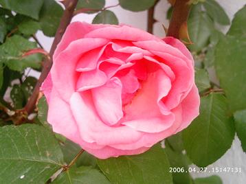 PHOT0024.JPG