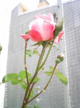 PHOT0045.JPG