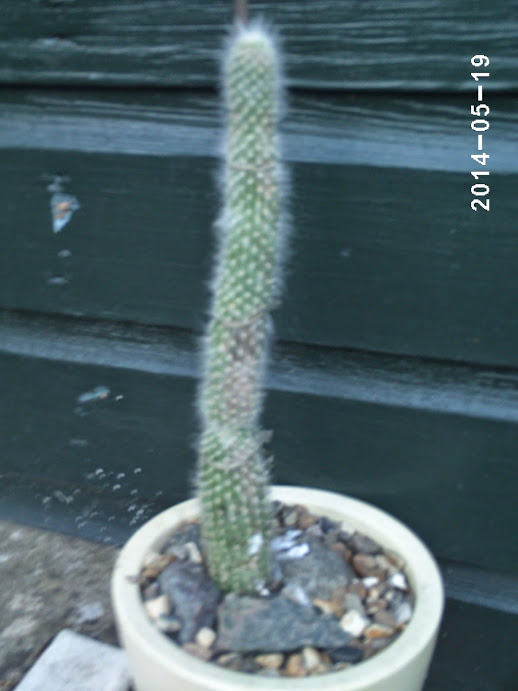 PHOT0046.JPG