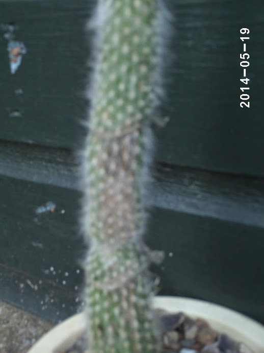 PHOT0047.JPG