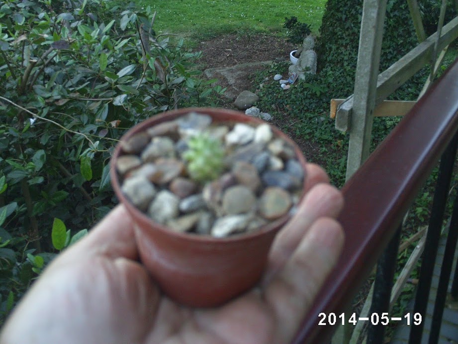 PHOT0048.JPG