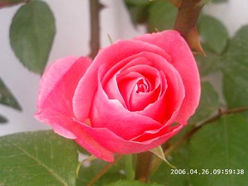 PHOT0060.JPG