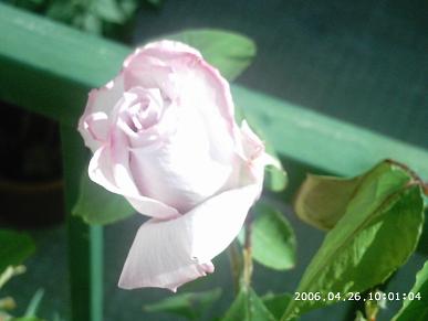 PHOT0062.JPG