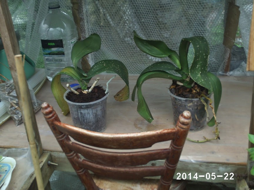 PHOT0073.JPG