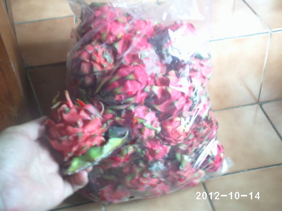 PHOT0074.JPG