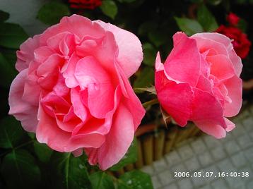 PHOT0100.JPG