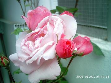 PHOT0102.JPG