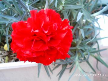 PHOT0105.JPG