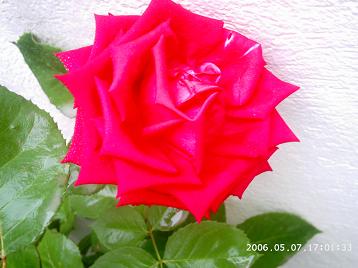 PHOT0108.JPG