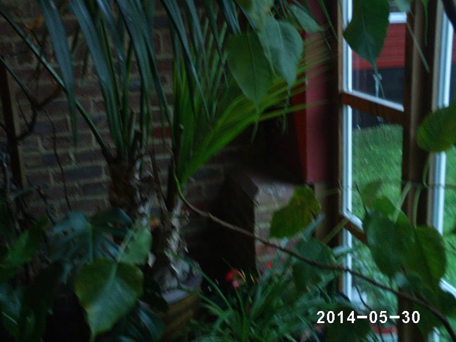PHOT0108.JPG