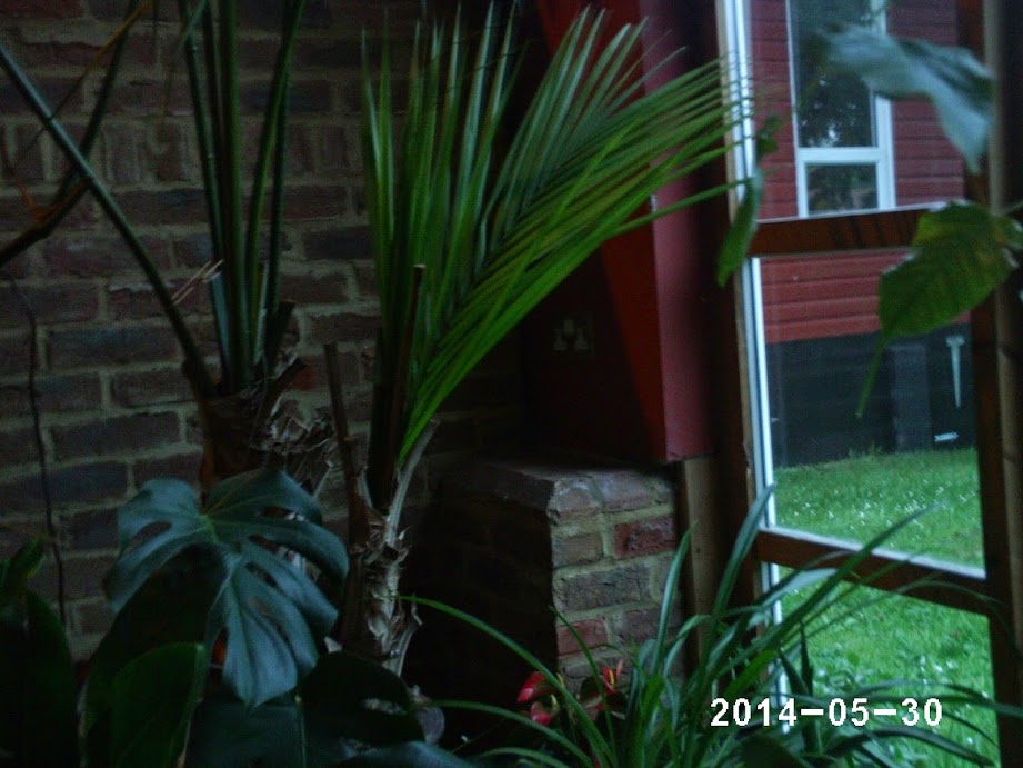 PHOT0109.JPG