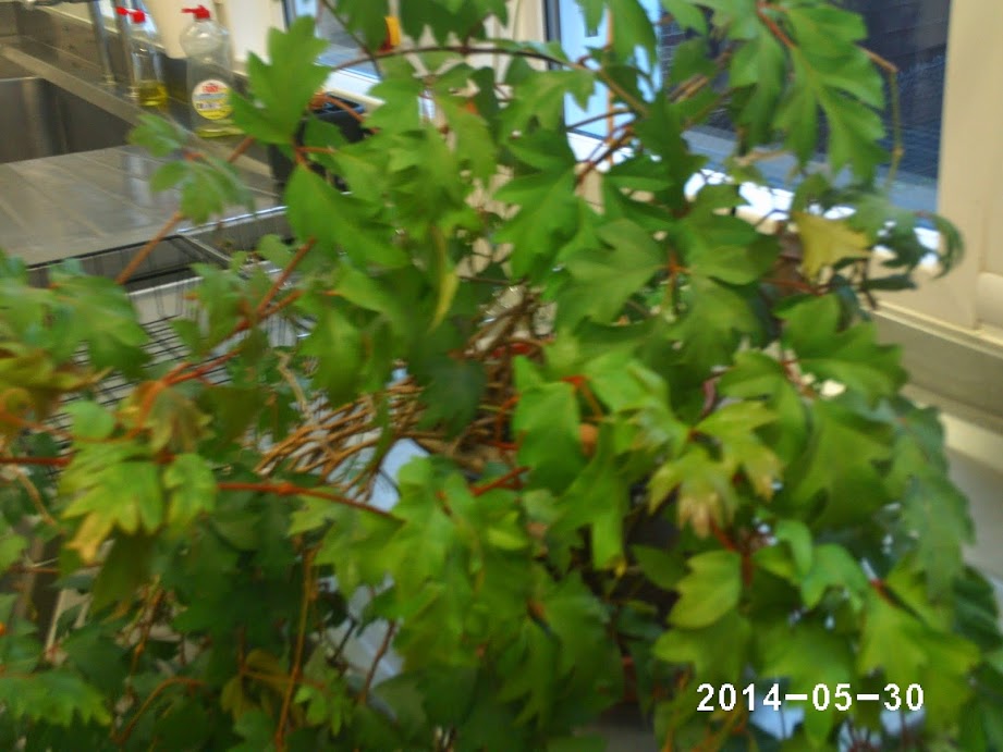 PHOT0112.JPG