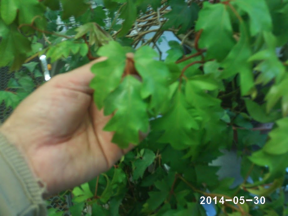 PHOT0114.JPG
