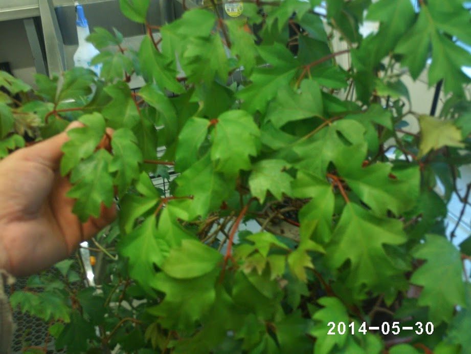PHOT0115.JPG