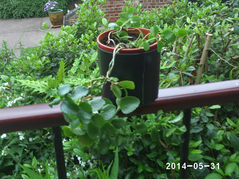 PHOT0116.JPG