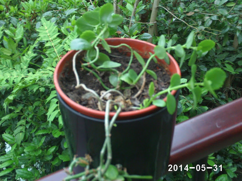 PHOT0117.JPG