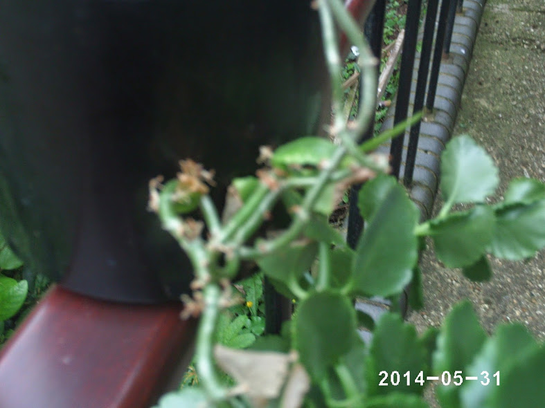 PHOT0118.JPG