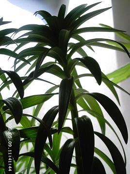 PHOT0122.JPG