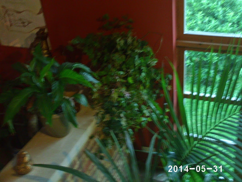 PHOT0124.JPG