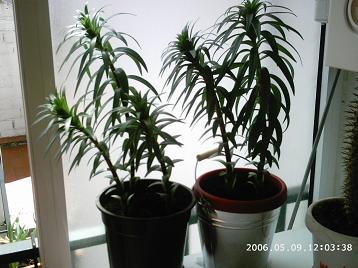 PHOT0131.JPG