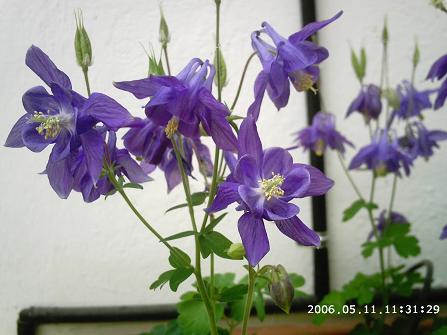 PHOT0141.JPG