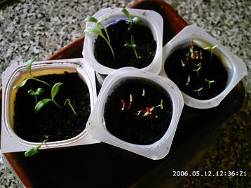 PHOT0148.JPG