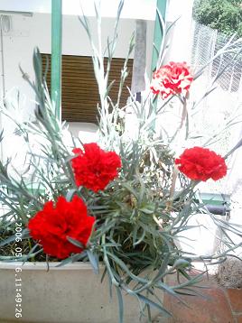 PHOT0172.JPG