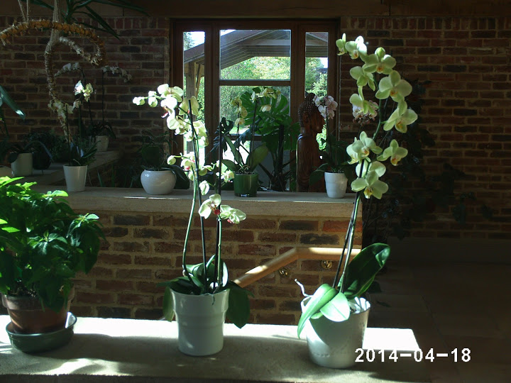 PHOT0239.JPG
