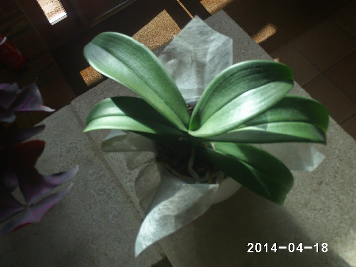 PHOT0243.JPG