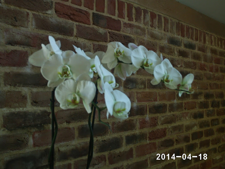 PHOT0249.JPG