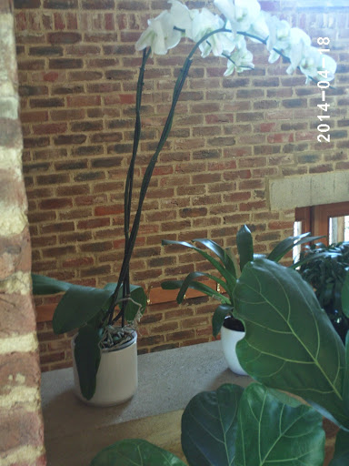PHOT0250.JPG