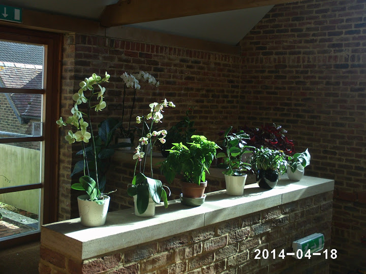 PHOT0252.JPG