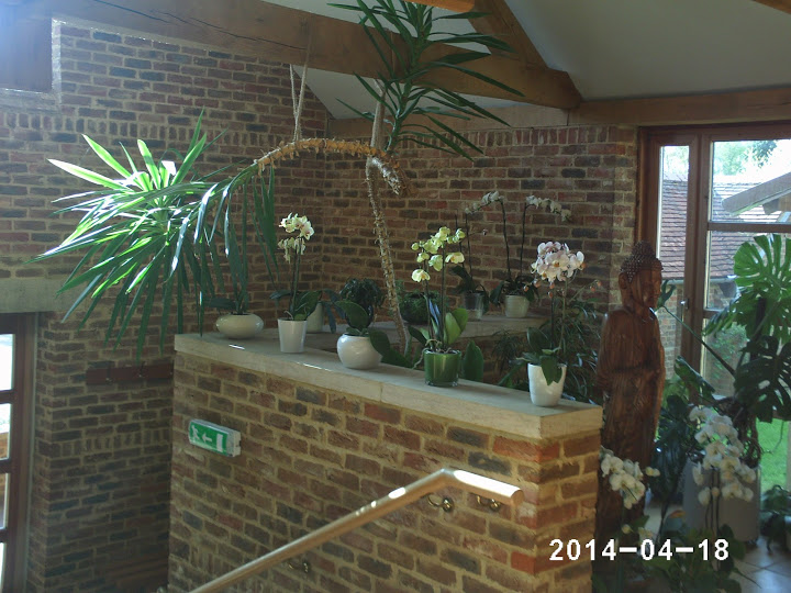 PHOT0253.JPG