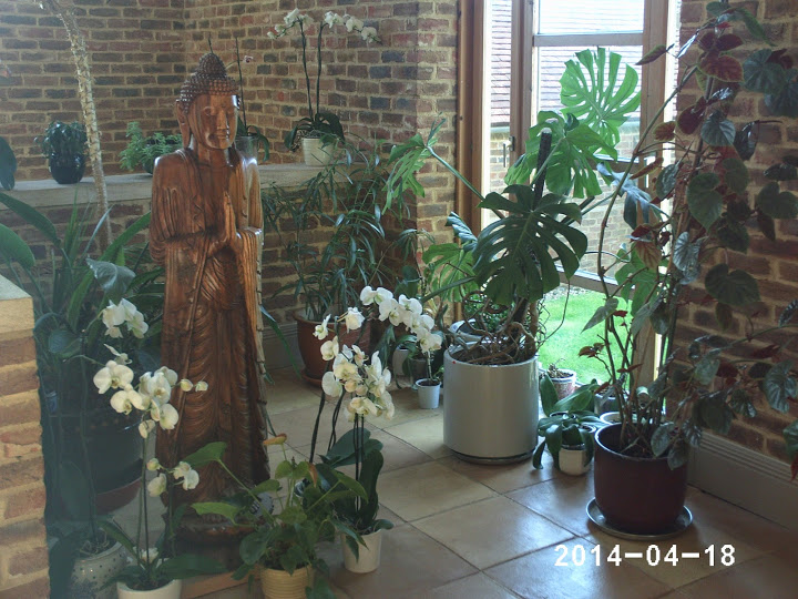 PHOT0255.JPG