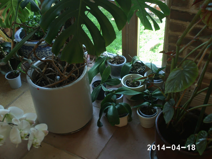PHOT0258.JPG