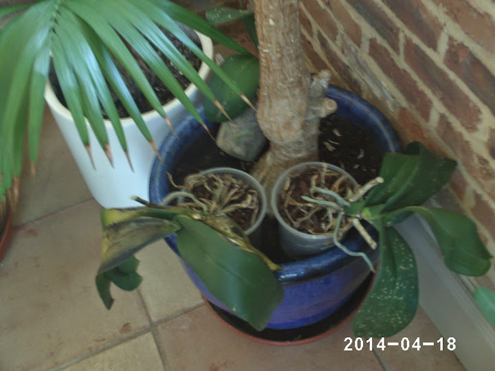 PHOT0259.JPG