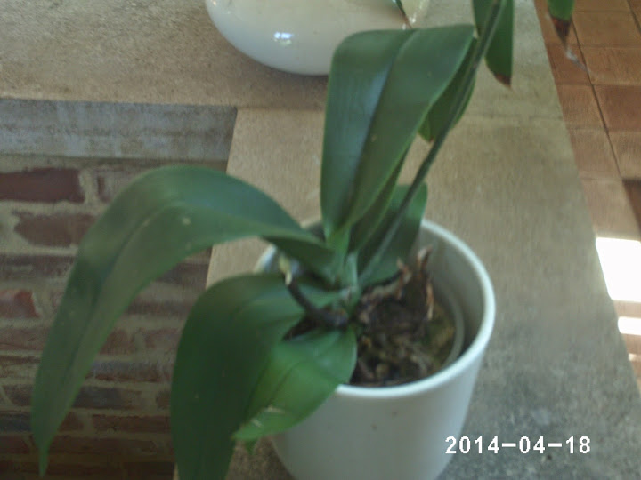 PHOT0268.JPG