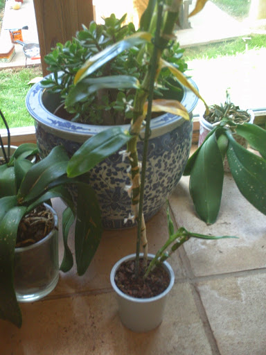 PHOT0272.JPG