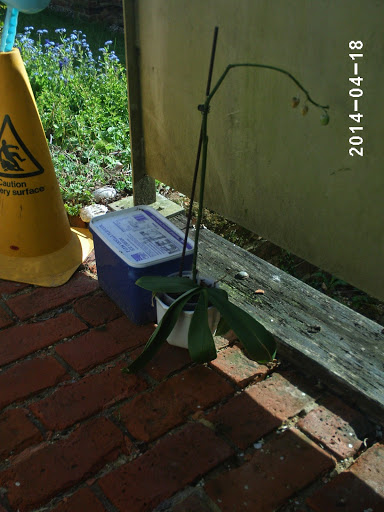 PHOT0273.JPG