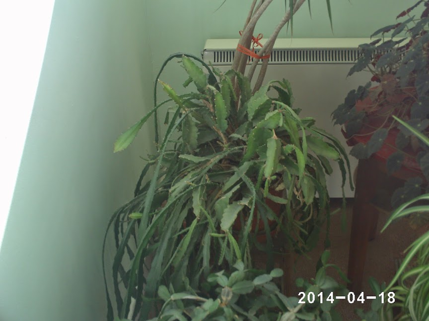 PHOT0287.JPG
