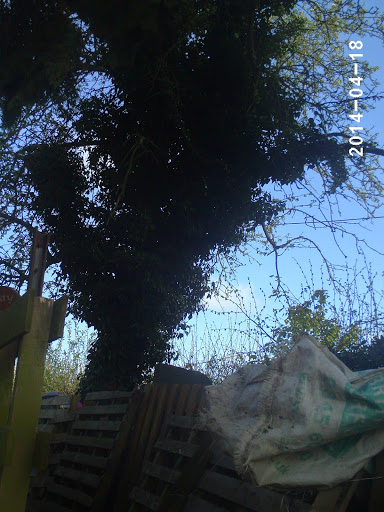 PHOT0313.JPG