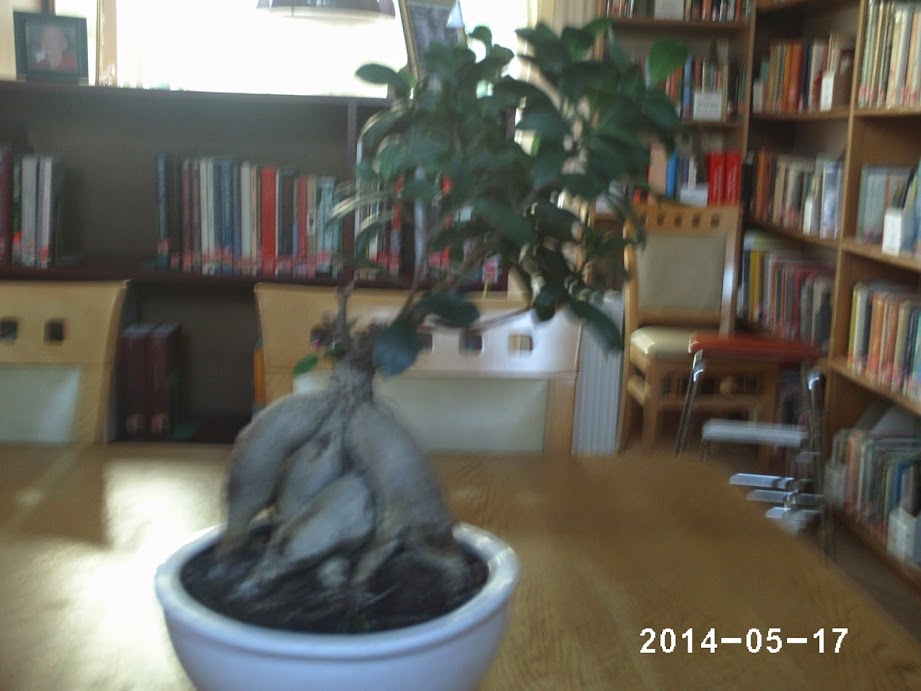 PHOT0429.JPG