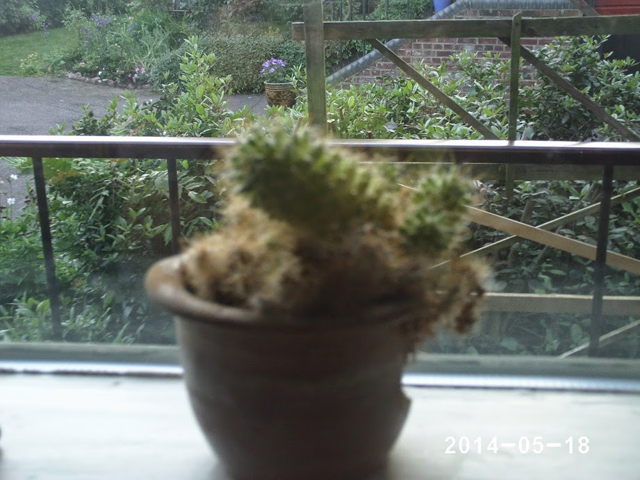PHOT0438.JPG