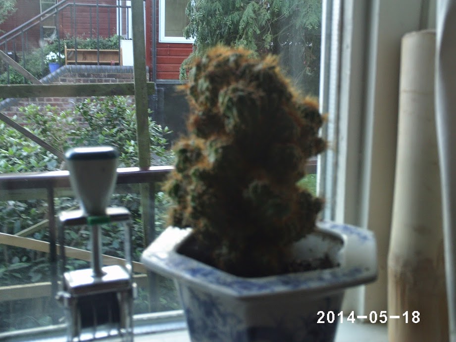 PHOT0439.JPG