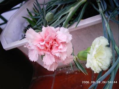 PHOT0493.JPG
